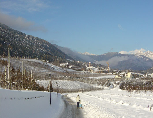 Prissiano & South Tyrol